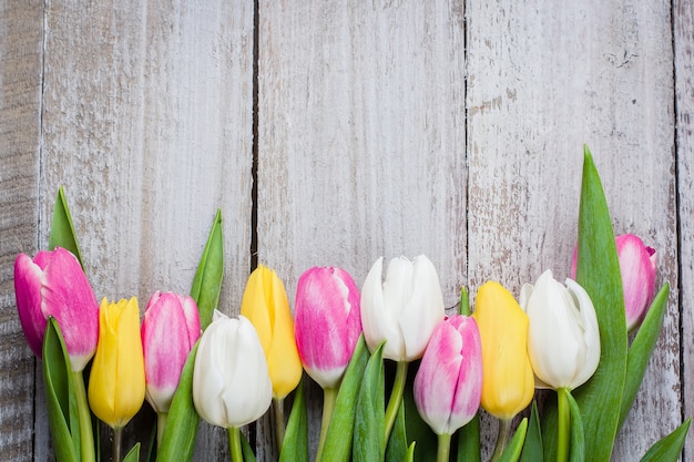 Tulipes fraîches sur un fond en bois rose pour la fête des mères