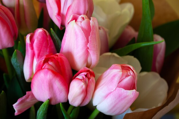 Tulipes hollandaises de cépage blanc et rose dans un gros plan de bouquet