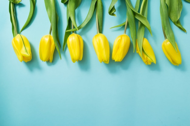 Tulipes jaunes sur bleu