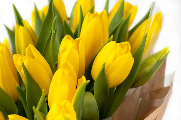 Tulipes jaunes dans un gros plan de bouquet de papier. La Saint-Valentin