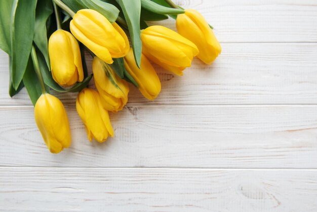 Tulipes jaunes délicates sur fond de bois blanc