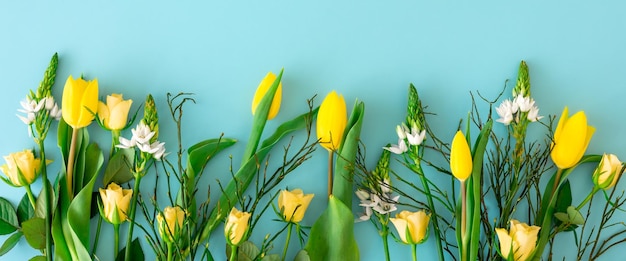 Tulipes jaunes sur fond bleu à plat