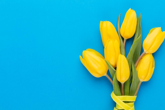 Tulipes jaunes sur fond bleu