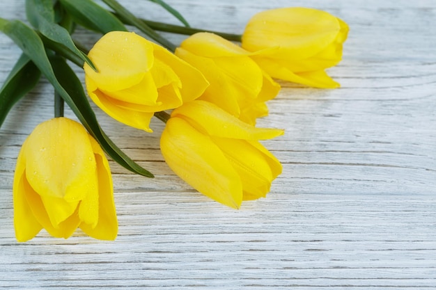 Tulipes jaunes sur fond de bois blanc