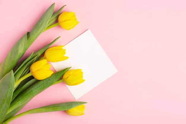 Tulipes jaunes sur fond rose, carte postale blanche pour l'écriture