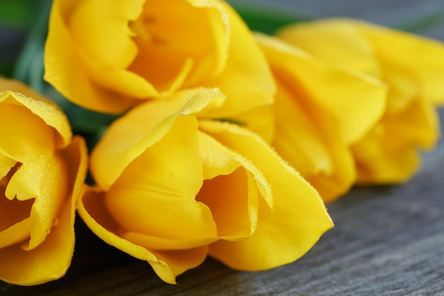 Tulipes jaunes fraîches sur une surface en bois sombre