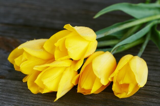 Tulipes jaunes fraîches sur une surface en bois sombre