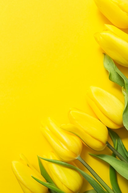 Tulipes jaunes sur jaune