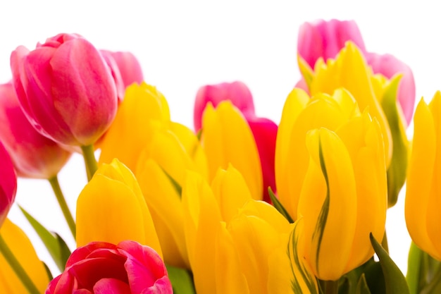Tulipes jaunes et roses en bouquet de printemps.