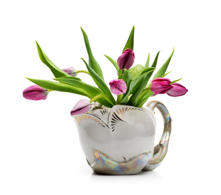 Tulipes lilas dans un pot en céramique sur fond blanc