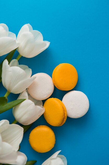 tulipes et macarons sur une surface bleue pour le texte