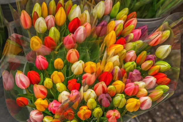 Tulipes sur le magasin de fleurs, marché.