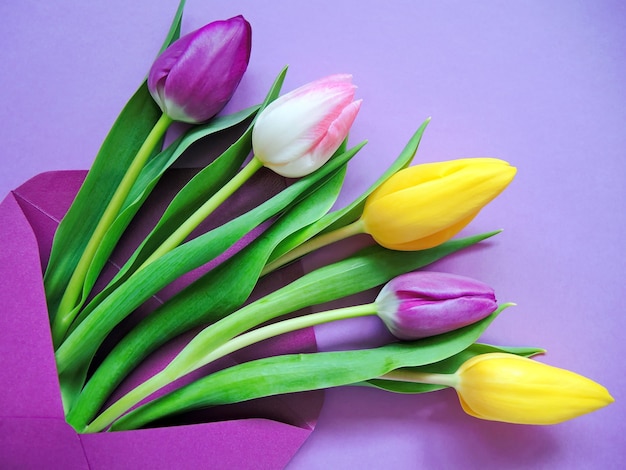 Tulipes multicolores dans une enveloppe violette.