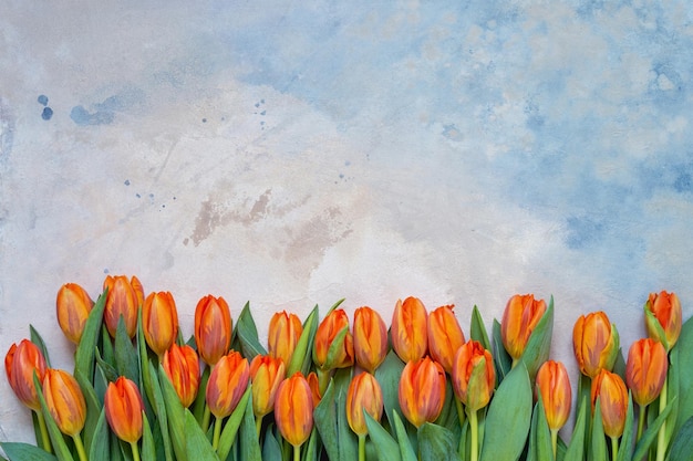 Tulipes orange sur fond aquarelle coloré copie espace vue de dessus fond de vacances