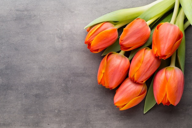 Tulipes, orange sur fond gris.