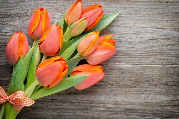 Tulipes, orange sur le gris