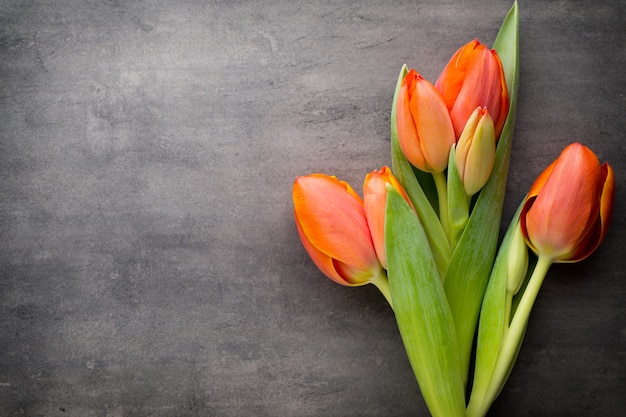 Tulipes, orange sur le gris