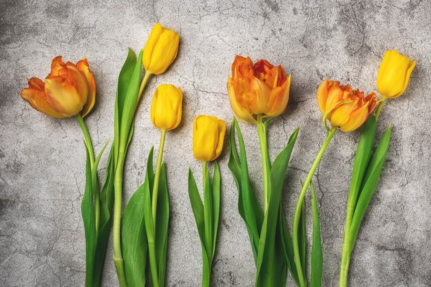 Tulipes orange et jaunes sur une table gris béton