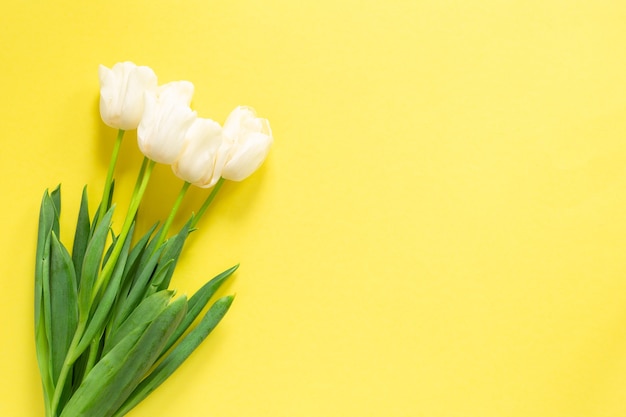 Tulipes de printemps portant sur le mur jaune. Bouquet de belles fleurs blanches. Copyspace.