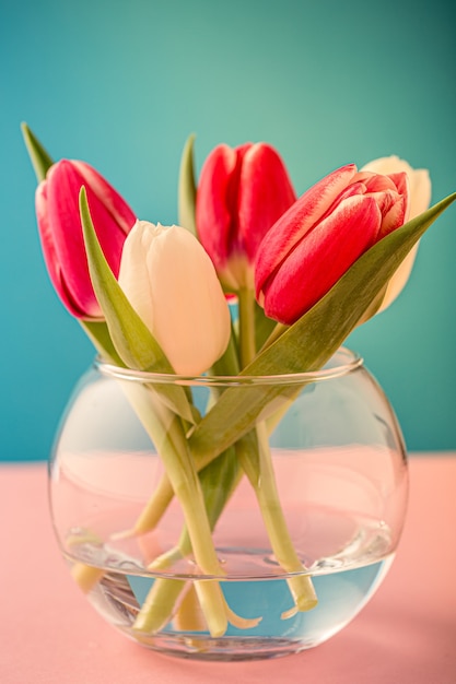 Tulipes roses et blanches dans des vases en verre sur la surface bleue. Un cadeau pour la journée de la femme. Carte de voeux pour la fête des mères. Copier l'espace