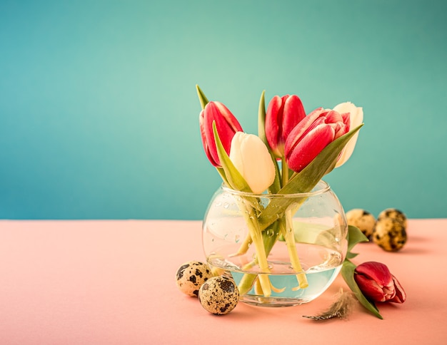 Tulipes roses et blanches dans des vases en verre sur la surface bleue. Un cadeau pour la journée de la femme. Carte de voeux pour la fête des mères. Copier l'espace