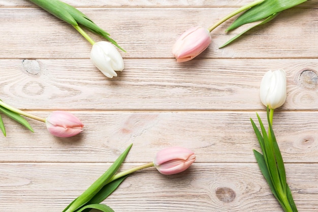 Tulipes roses et blanches sur un fond de cadre de vacances coloré Fond de printemps floral pour le 8 mars anniversaire fête des mères espace de copie vue de dessus mise à plat