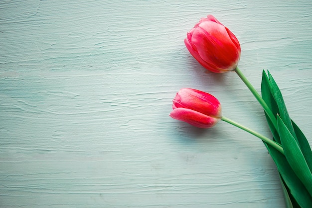 Tulipes roses sur fond de bois Carte de vœux de Pâques ou de la fête des mères