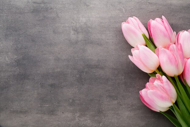 Tulipes roses sur fond gris.