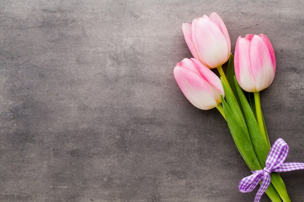 Tulipes roses sur fond gris.