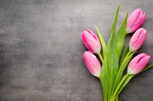 Tulipes roses, sur fond gris.