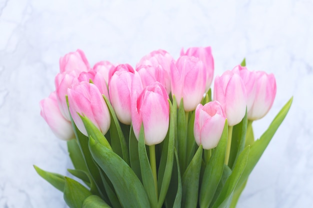 Tulipes roses sur fond de marbre blanc.