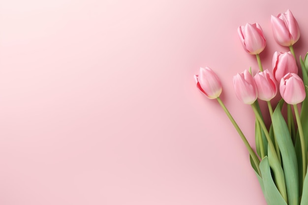 Des tulipes roses sur un fond rose, un espace vide pour le texte.