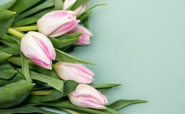 tulipes roses sur fond vert ou jaune mini chevalet et chiffre 8 jouet en bois pour enfant 8 mars