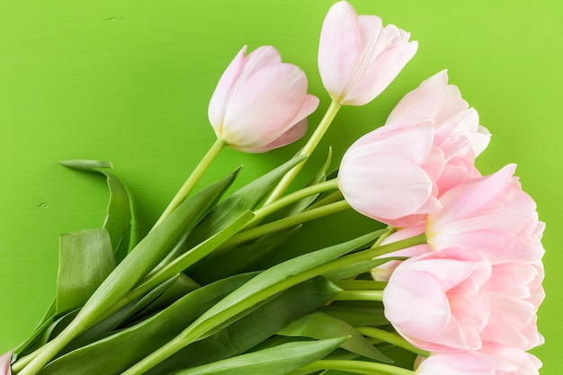 Tulipes roses sur fond vert.