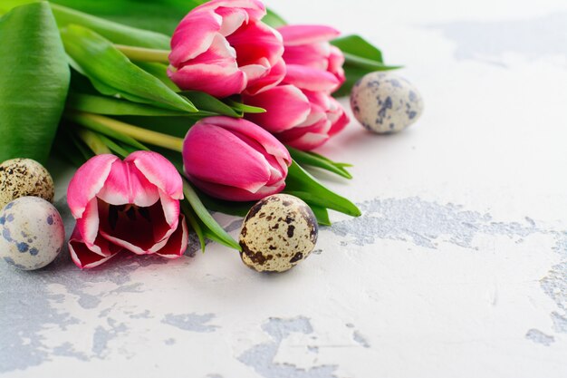 Tulipes roses et oeufs de caille sur blanc