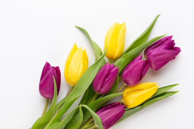 Tulipes roses de printemps sur blanc.