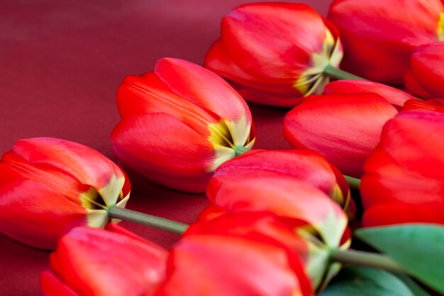 Tulipes rouges aux pétales lumineux dans un bouquet