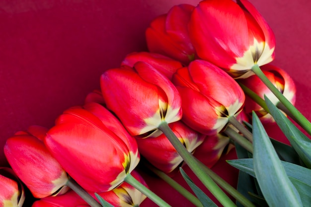 Tulipes rouges aux pétales lumineux dans un bouquet