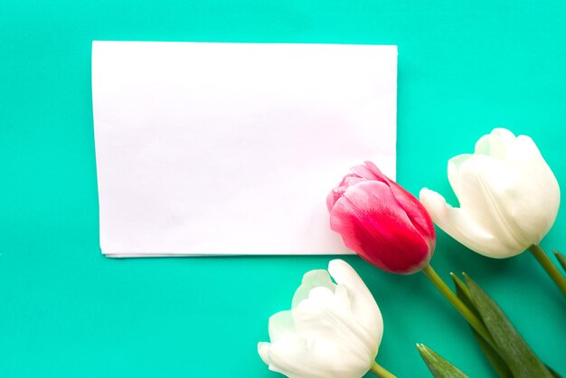 Des tulipes rouges et blanches et une maquette blanche sur un fond vert vif pour le texte