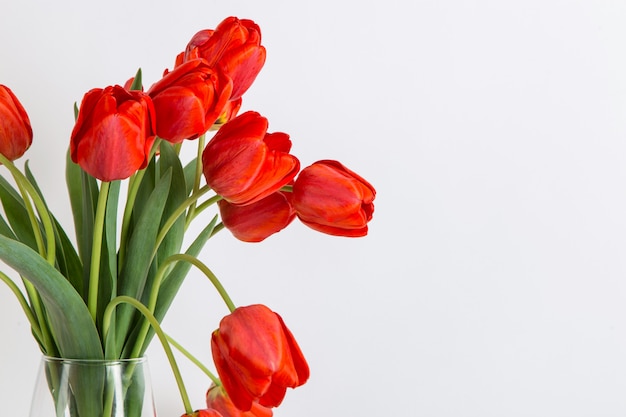 Tulipes rouges dans un vase sur la table blanc