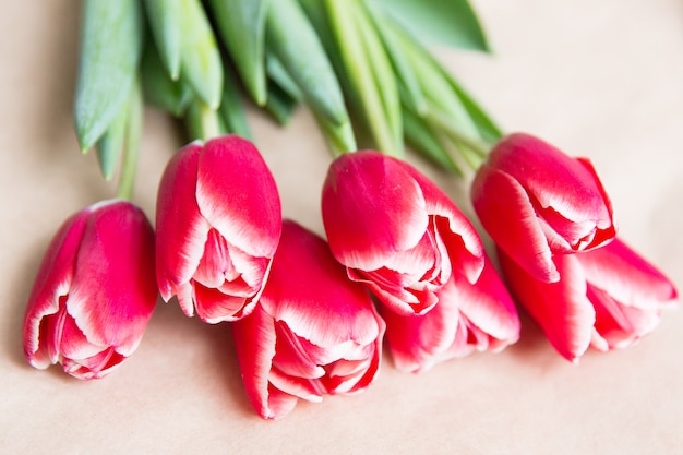 Photo tulipes rouges sur fond blanc. fête de la femme