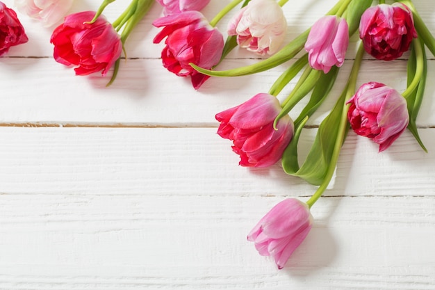 Tulipes rouges sur fond de bois blanc