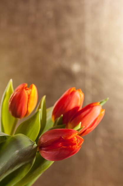 tulipes rouges sur fond doré