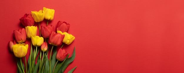 tulipes rouges et jaunes sur le rouge