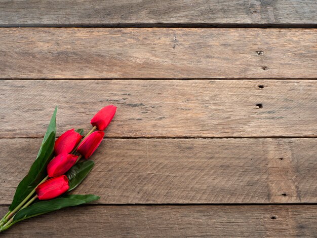 Tulipes rouges jour de Pâques ou de printemps