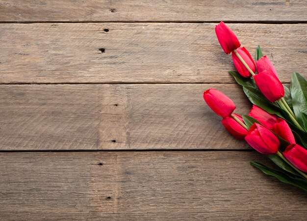 Tulipes rouges jour de Pâques ou de printemps