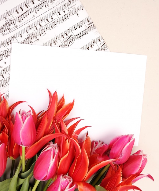 Photo tulipes rouges avec page de partitions