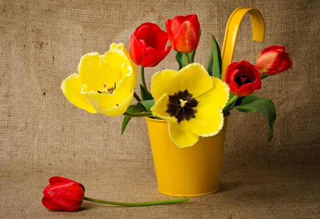 Tulipes rouges en pot de fleurs jaune