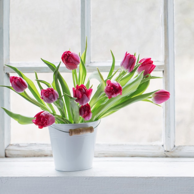 Tulipes rouges sur le vieux rebord de la fenêtre blanche