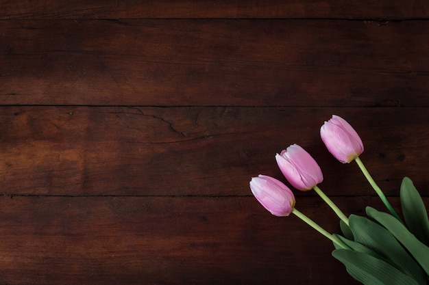 Tulipes sur une surface en bois sombre. Mise à plat, vue de dessus